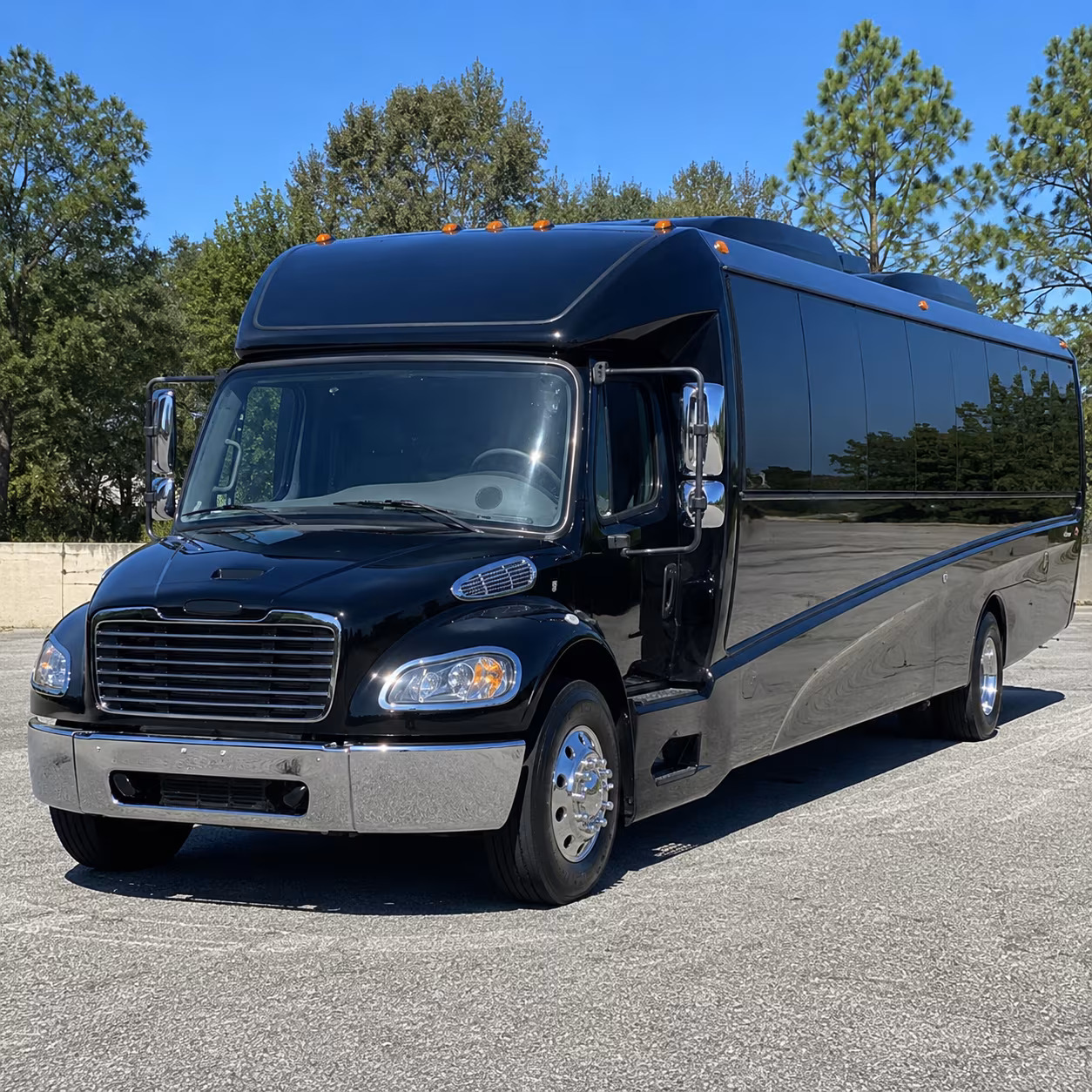 newport beach 18 passenger minibus