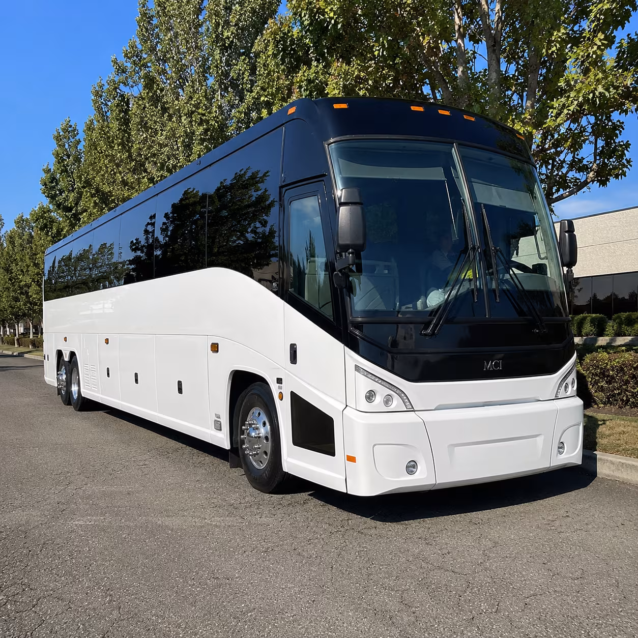 newport beach 50 passenger charter bus