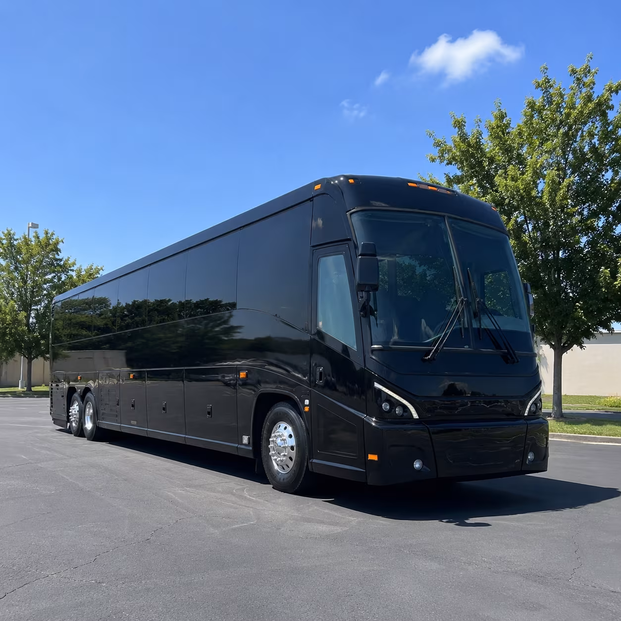 newport beach 56 passenger charter bus