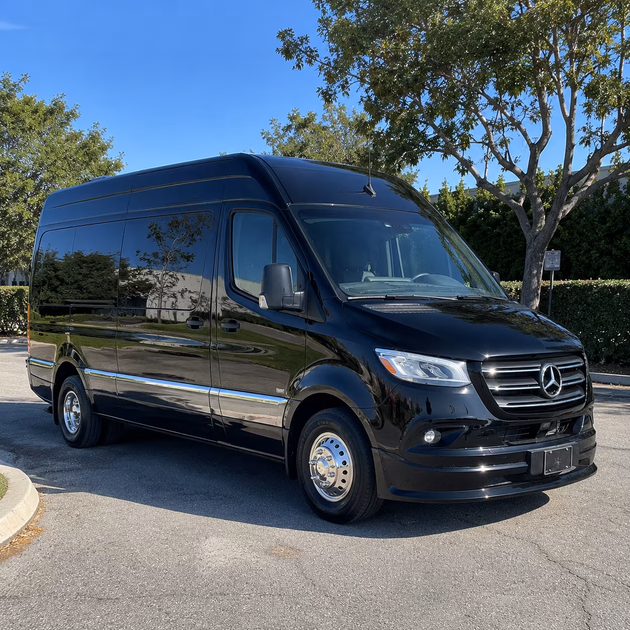 newport beach sprinter van with driver